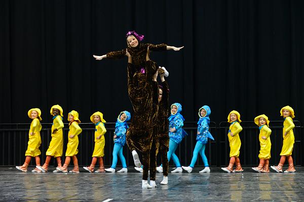 20151121Tanztunier der Karnevalisten __41.jpg - Sa. 21.11.2015,Hannover (Foto:Herbert Frost)